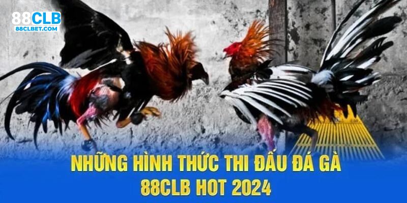 Tổng hợp các loại hình chọi kê tại 88CLB