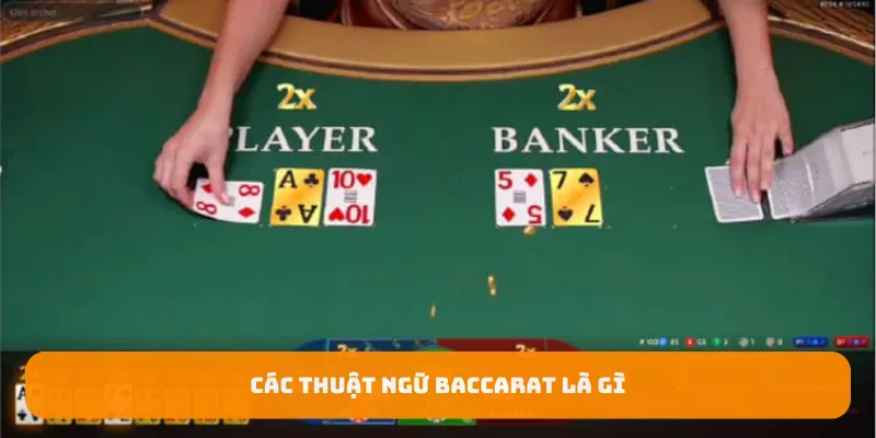 Các thuật ngữ baccarat là gì